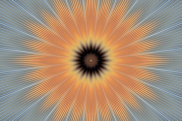 orange flower pattern floral kaleidoscope. illusion geometric.