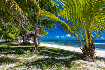 Tropical resort life in Vanuatu, near Port File, Efate Island