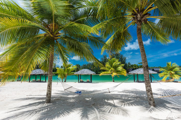 Fototapeta na wymiar Palm trees and hammock on a tropical beach, islands of Vanuatu