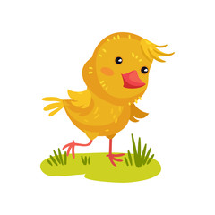 Yellow chicken in the meadow. Vector illustration on white background.