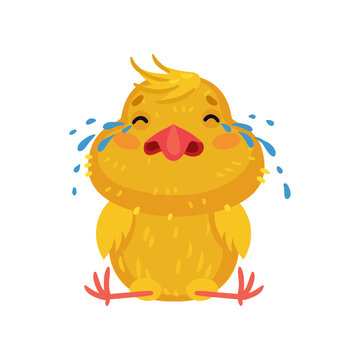 Yellow cute chicken is crying. Vector illustration on white background.