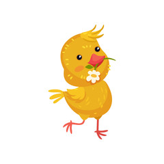 Little yellow cartoon chicken with flower. Vector illustration on white background.