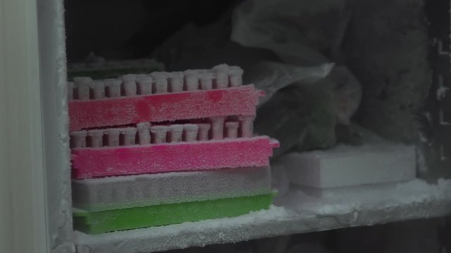 Organic Samples Inside Laboratory Freezer