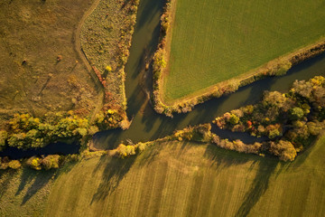 Trees by the stream in autumn from above