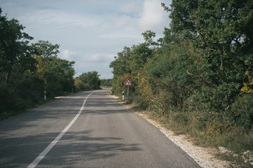 Searching quiet roads, pine trees and olive orchards, Istria