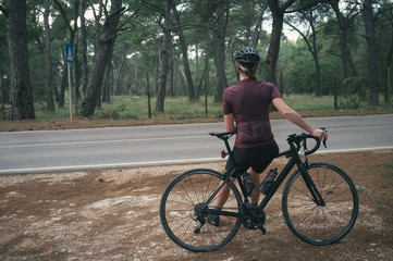 Searching quiet roads, pine trees and olive orchards, Istria