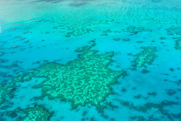Fototapeta na wymiar Great Barrier Reef in Australia