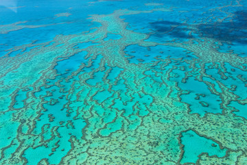 Great Barrier Reef in Australia