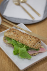 Delicious ham and cheese sandwich on white plate