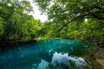 Matevulu Blue Hole, Espiritu Santa Island, Vanuatu, tourist destination