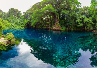 Fototapeta premium Matevulu Blue Hole, Espiritu Santa Island, Vanuatu, tourist destination