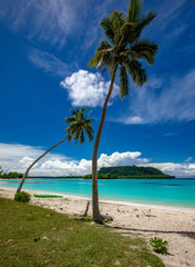 Port Orly sandy beach with palm trees, Espiritu Santo Island, Vanuatu.