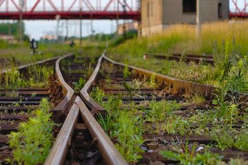 railway tracks in the field