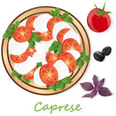 Vector illustration of delicious caprese salad with ripe tomatoes and mozzarella cheese with fresh basil leaves. Italian food isolated.