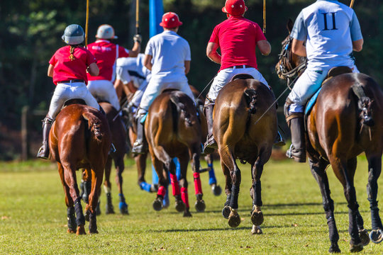 Horse Polo Player Field Game Action