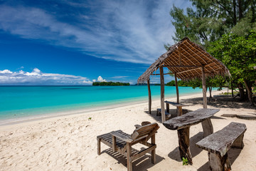 Port Orly sandy beach with palm trees, Espiritu Santo Island, Vanuatu.