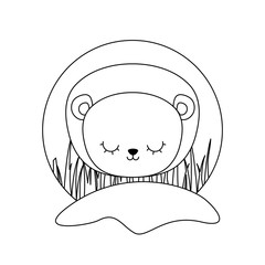 head of cute lion animal isolated icon