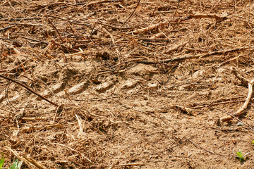 Impassable provincial road with traces of heavy machinery