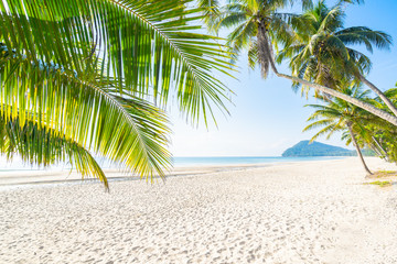 Tropical  sea  Coconut trees and beautiful white beaches of Chumphon, Thailand