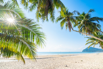 Fototapeta na wymiar Tropical sea Coconut trees and beautiful white beaches of Chumphon, Thailand