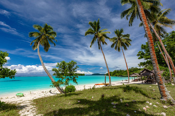 Fototapeta premium Port Orly sandy beach with palm trees, Espiritu Santo Island, Vanuatu.