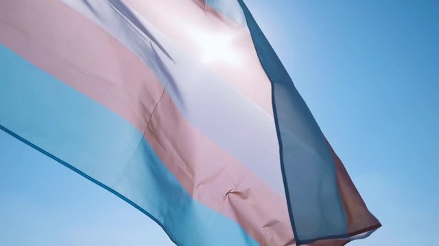 transgender pride flag waving on the blue sky