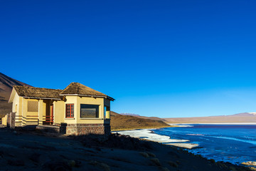 Laguna Colorada, shallow salt lake in the southwest of the altiplano of Bolivia