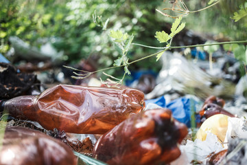 Waste management and disposal..Plastic bottle waste in the forest.