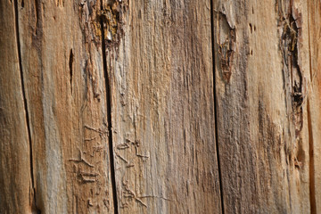 Texture background image of weathered, natural, reclaimed wood surface