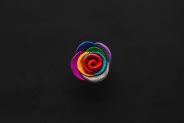 A flower made from plasticine on black background , shot from above, aligned in the center.