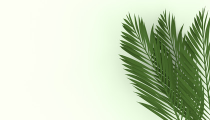 Naklejka na ściany i meble green branches of a tropical plant in the right part of the picture on a green background, 3d illustration
