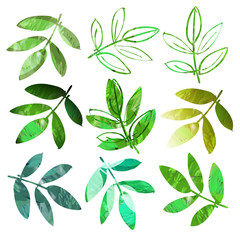 Green Leaves. Watercolor Illustration. Nature Design Elements.