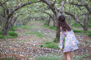 Fototapeta na wymiar The back of a woman in a pink dress on a pear tree garden.