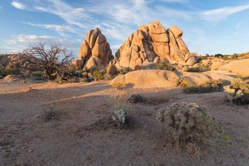 Joshua Tree National Park, Mojave Desert, California, USA. Jumbo rocks at sunset. Beautiful landscape background. Boulders area