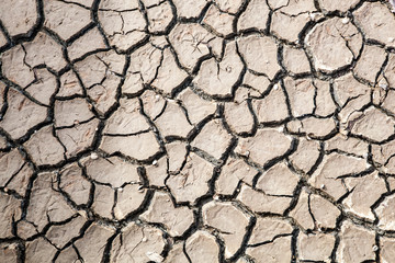 Cracked soil