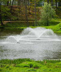 Naklejka premium Public city park.