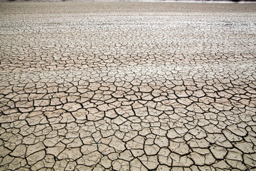 Cracked soil