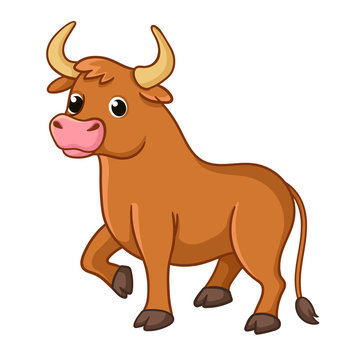 Cute bull on a white background. Vector illustration