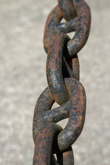 Metal rusty chain.