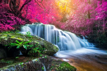 Badkamer foto achterwand Amazing in nature, beautiful waterfall at colorful autumn forest in fall season © totojang1977