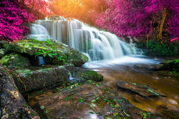 Amazing in nature, beautiful waterfall at colorful autumn forest in fall season