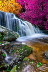 Panele Szklane  Amazing in nature, beautiful waterfall at colorful autumn forest in fall season