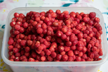 A lot of red juicy strawberries. The most delicious wild berry. Strawberry texture and background.
