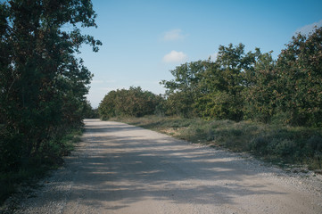Exploring Istria countryside, quiet roads, most of them gravel