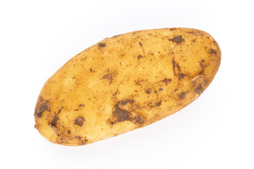 Young potato isolated on white background. Harvest new. Flat lay, top view.