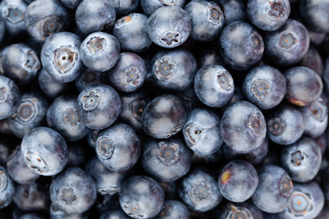 Fresh blueberry background. Texture blueberry berries close up.