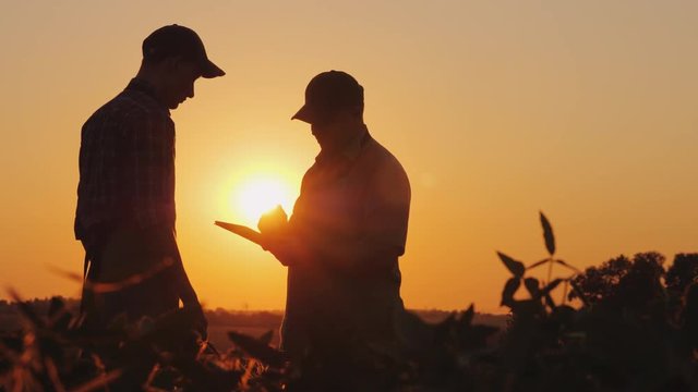 Two farmers talk on the field, then shake hands. Use a tablet