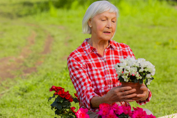 Grey-haired aged woman holding little pot with white flowers