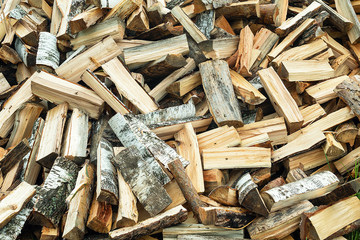 Whips of wood. Large amount of plywood. Harvesting in cold weather