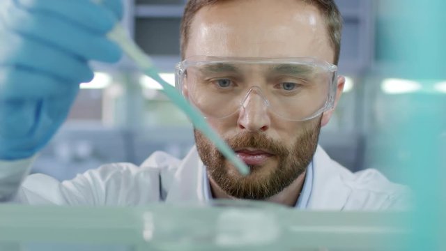 Rack focused shot of male researcher in goggles pouring blue liquid into petri dish with plasmid DNA